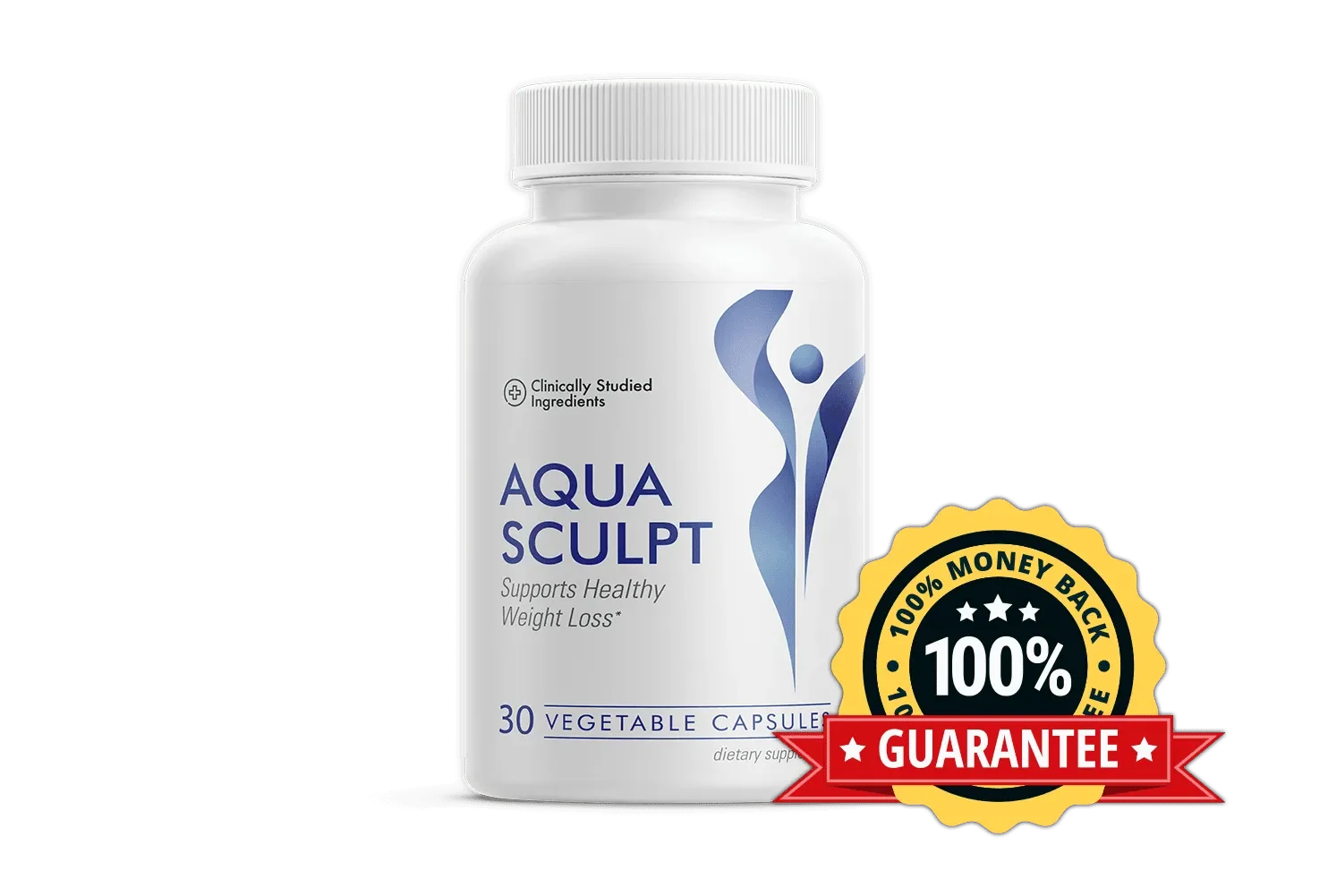 AquaSculpt