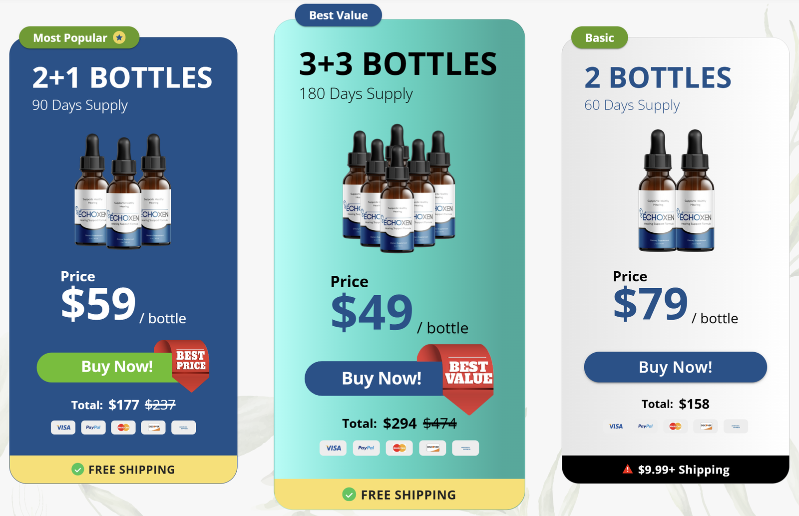 EchoXen Pricing